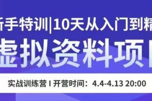 虚拟资料项目新手特训，10天从入门到精通，保姆级实操教学