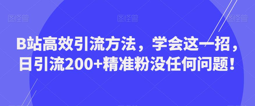 B站高效引流方法，学会这一招，日引流200+精准粉没任何问题