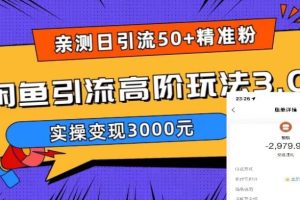 亲测日引50+精准粉，闲鱼引流高阶玩法3.0，实操变现3000元