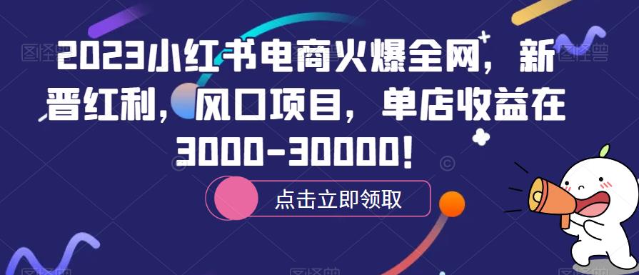 2023小红书电商火爆全网，新晋红利，风口项目，单店收益在3000-30000！