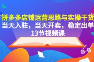 拼多多店铺运营思路与实操干货，当天入驻，当天开卖，稳定出单