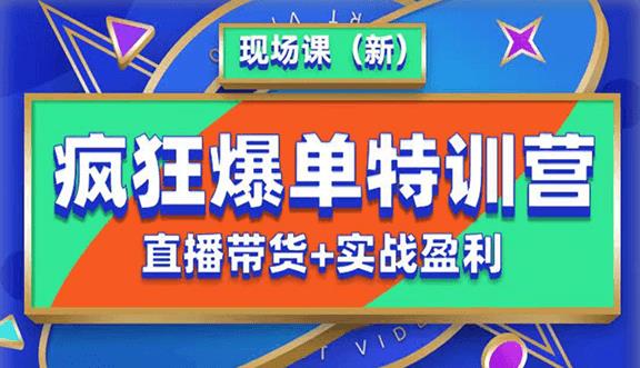 抖音短视频疯狂爆单特训营现场课（新）直播带货+实战案例