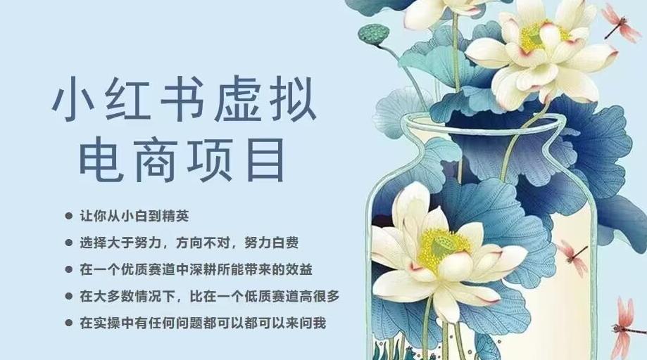 小红书虚拟电商0到1：20节实操课程带你从小白到精英