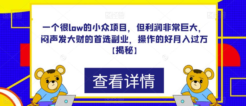 如何通过一个低门槛的小众项目闷声发大财，月入过万的副业揭秘【详细教程】