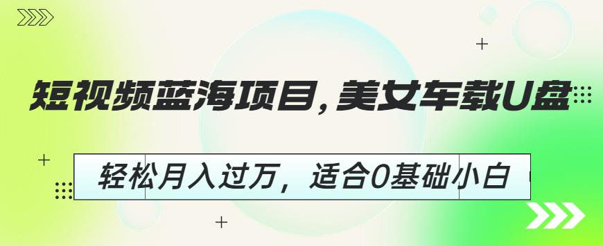 短视频蓝海项目：美女车载U盘赚钱攻略，轻松月入过万