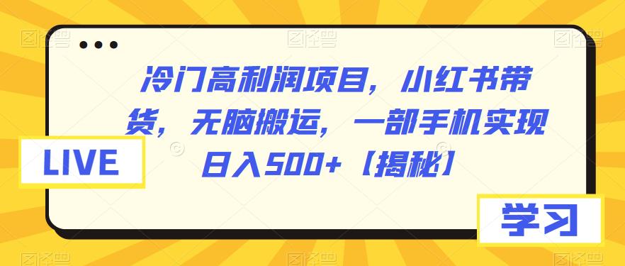 冷门高利润项目揭秘：小红书带货，手机日入500+无脑搬运新玩法！