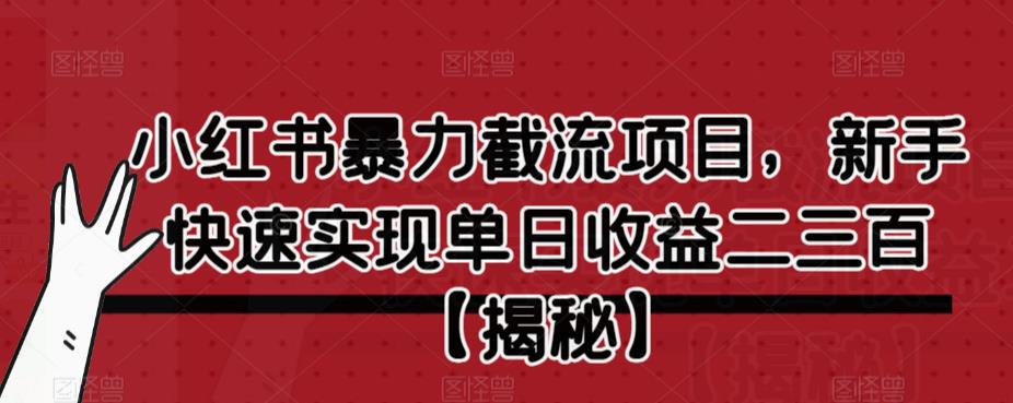 利用小红书截流项目实现高收益的新手玩法！