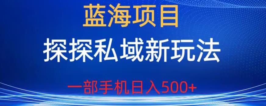 私域项目新玩法，探探引流轻松日入500+，一部手机在线赚钱