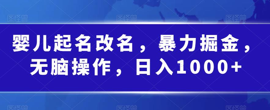 婴儿起名改名，轻松盈利，实用操作，日入1000+！