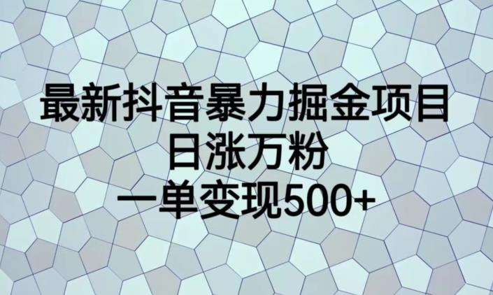 抖音暴力掘金项目实操课，日涨万粉，一单变现500+