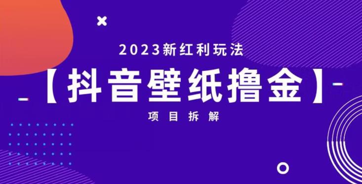 抖音壁纸小程序创作者撸金项目，2023新红利玩法，免费申请口令教程！