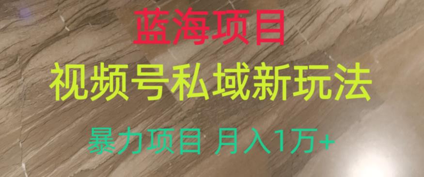 视频号暴力项目，月入1万+，新玩法带你掌握私域流量