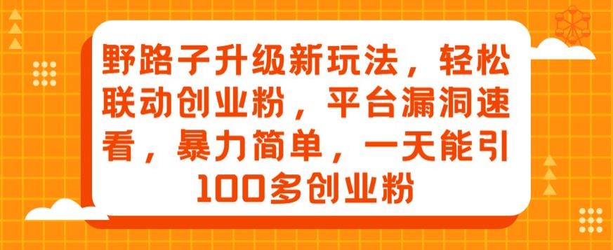 野路子升级新玩法，轻松联动创业粉，平台漏洞速看，暴力简单，一天能引100多创业粉