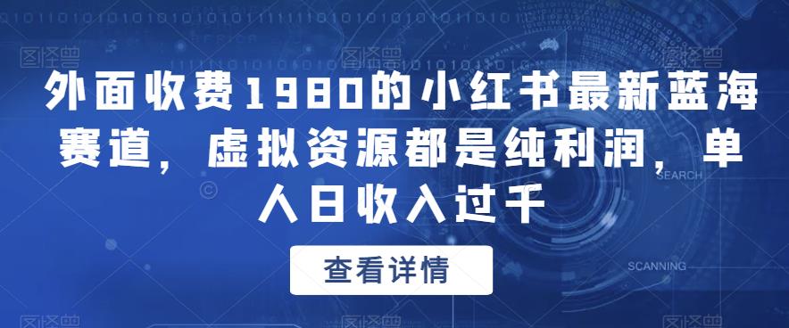 2023年最新蓝海项目！小红书哪些虚拟资源纯利润，单人日收入过千！