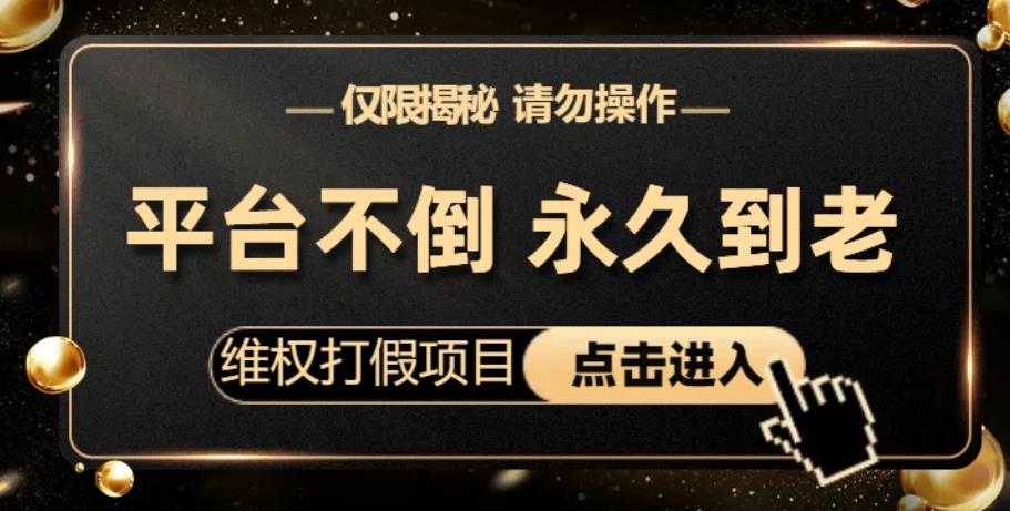 电商平台维权打假项目，高回报零投入，日入1000+，揭秘思路、操作细节和注意事项