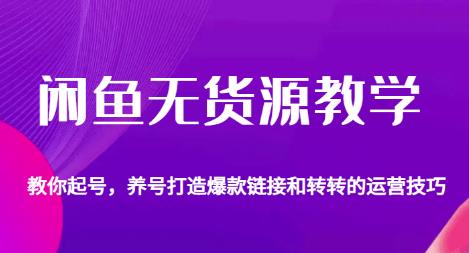 闲鱼无货源如何起号，养号，打造爆款链接，转转运营技巧一网打尽