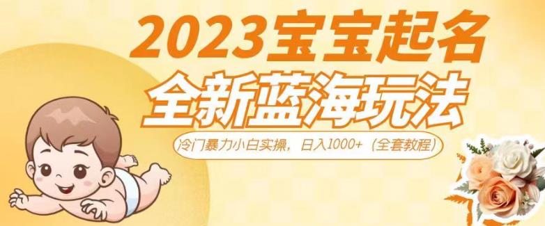 新生儿宝宝起名指南：2023年最新冷门玩法暴利揭秘【日入1000+全套教程】