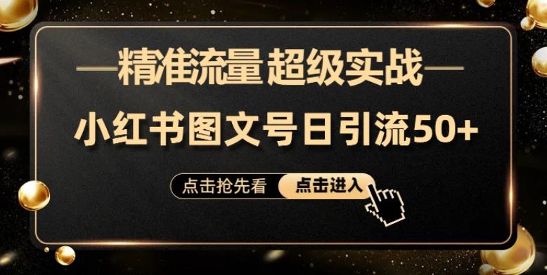 小红书引流课：超实战新手小白日引50+精准流量，小红书图文号，附实操演示和创可贴网站软件