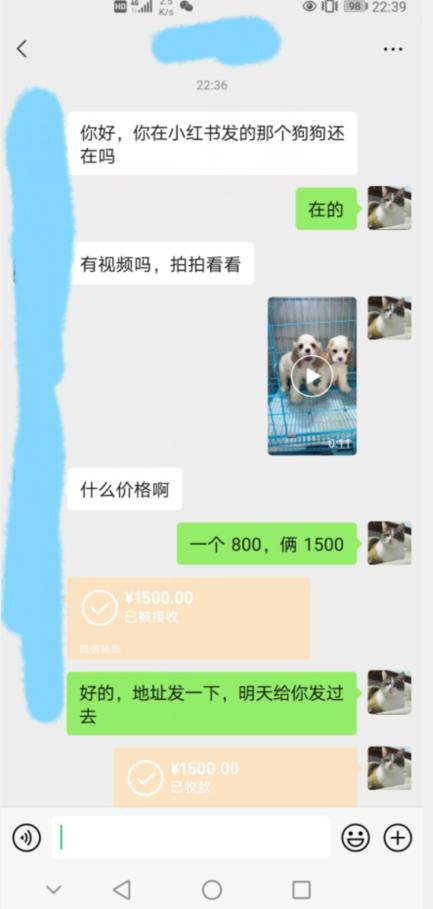 同城宠物中介项目，3980元收费，冲击热门市场，实现成交利润