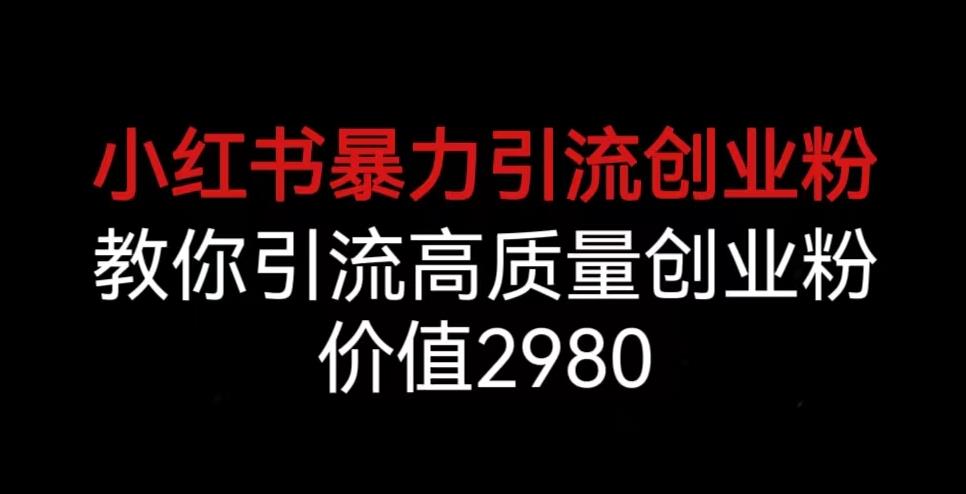 价值2980的小红书引流创业粉教程，高质量引流从入门到精通