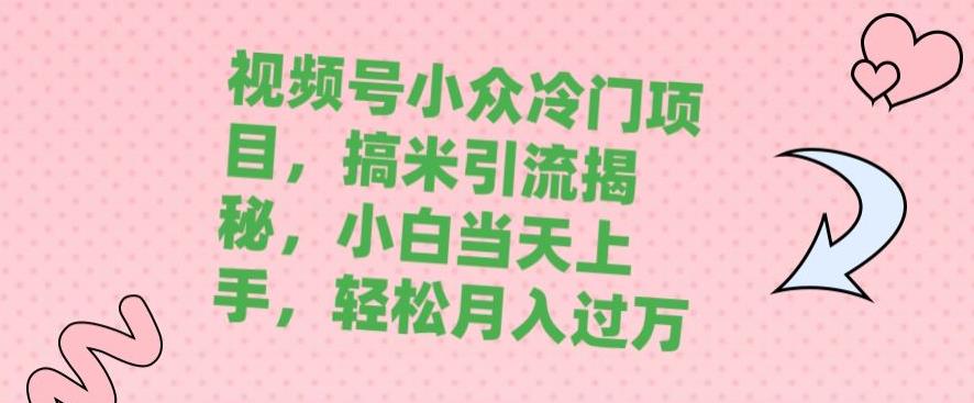 视频号象棋引流揭秘，小白轻松月入过万的小众冷门项目