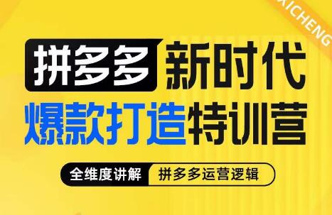 玺承·拼多多新时代爆款打造特训营，全面解析拼多多运营逻辑，从底层逻辑到付费流量玩法，助力商家实现利润提升