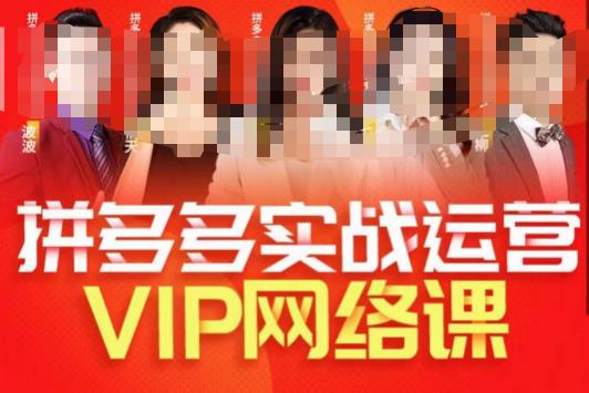 拼多多VIP直播课程：实战选款内功、直通车高阶、店铺实操玩法全解析