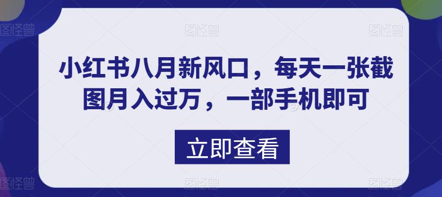 小红书虚拟资料，每天截图月入过万，一部手机即可