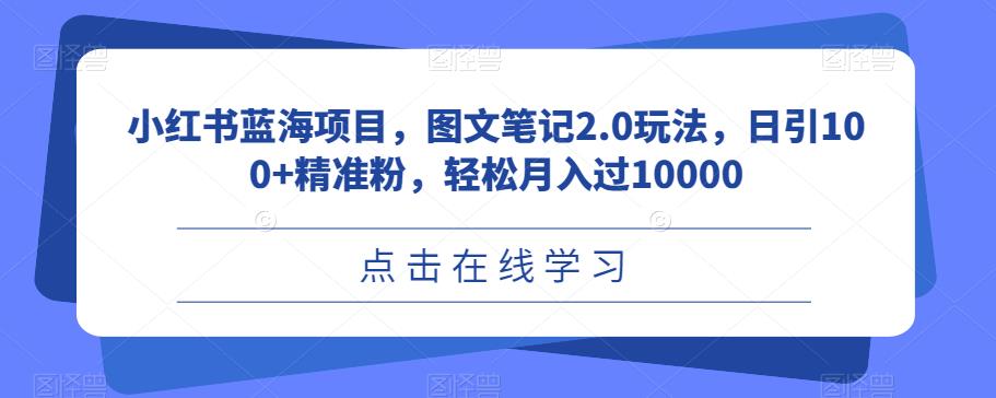 小红书蓝海项目-图文笔记2.0玩法，轻松月入过10000，日引100+精准粉