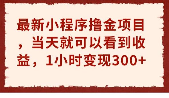 最新小程序撸金项目，1小时变现300+，当天立即看到收益！