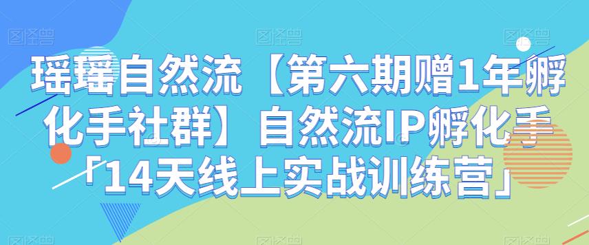 瑶瑶自然流|短视频IP孵化手【第六期赠1年孵化手社群】14天线上实战训练营