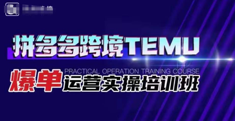 海外拼多多TEMU爆单运营实操培训班，选品、运营、爆单一站式解决方案