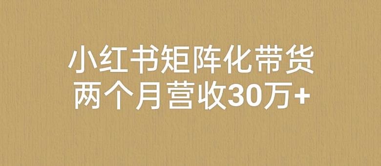 小红书矩阵化带货教程，低成本引流最精准流量，两个月营收30万+