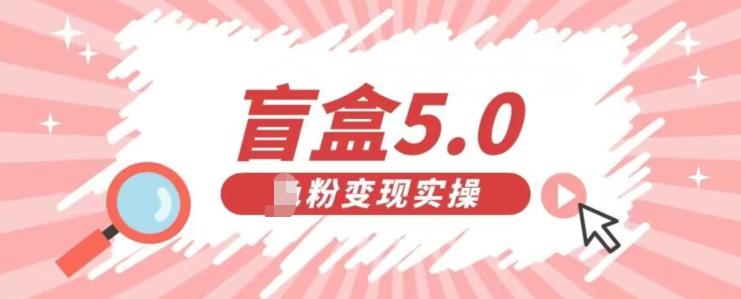 盲盒交友5.0 | 男粉变现实操项目，亲测变现效果极佳！