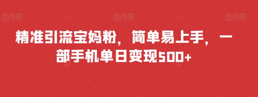 宝妈粉精准引流攻略：一部手机单日变现500+