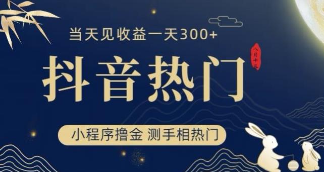 抖音小程序撸金全攻略，一小时变现300+，手相测试成热门