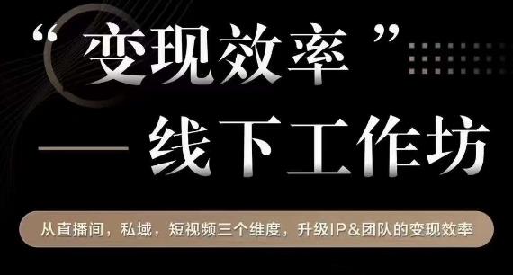 升级IP和团队变现效率，从直播间、私域、短视频三个维度出发