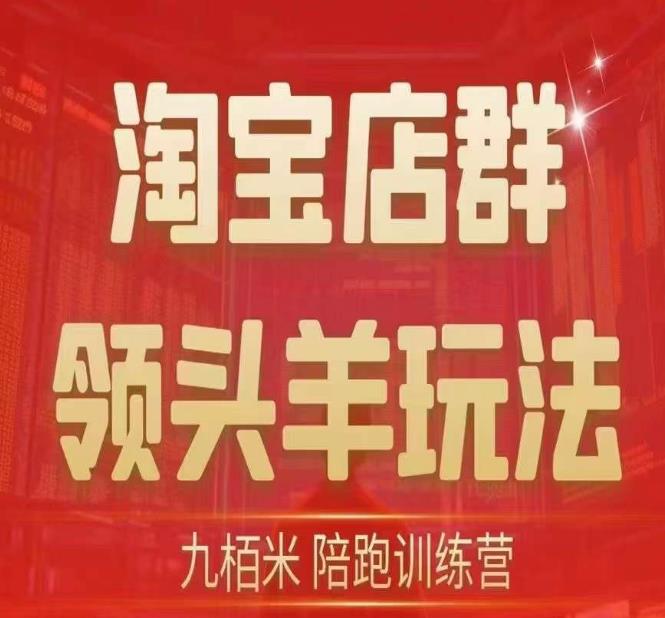 九栢米淘宝店群领头羊玩法攻略，手把手教你精细化运营店群并实现终极蓝海与尾销双赢