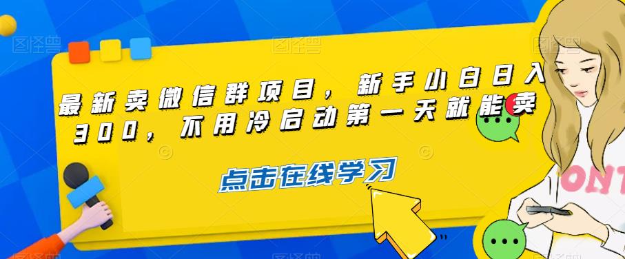 如何卖微信群项目，新手小白日入300，轻松实现第一天即可赚钱