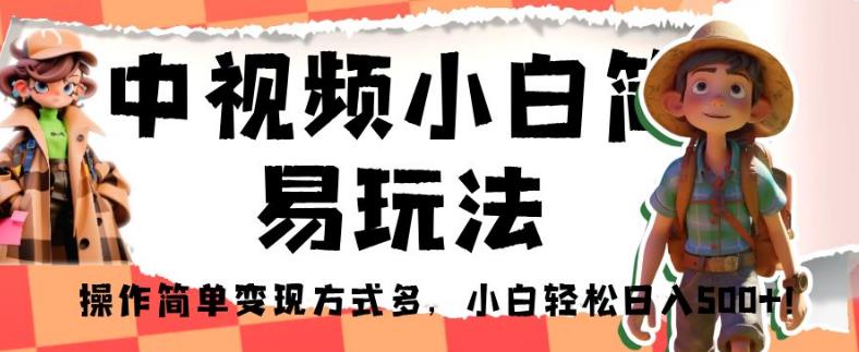 中视频小白简易玩法，轻松日入500+，多种变现方式【揭秘】