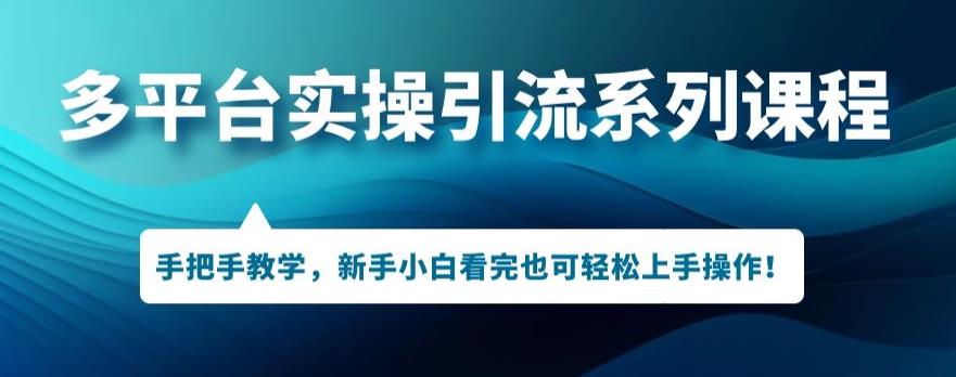 多平台引流实操：从小白到精通，轻松掌握引流技巧