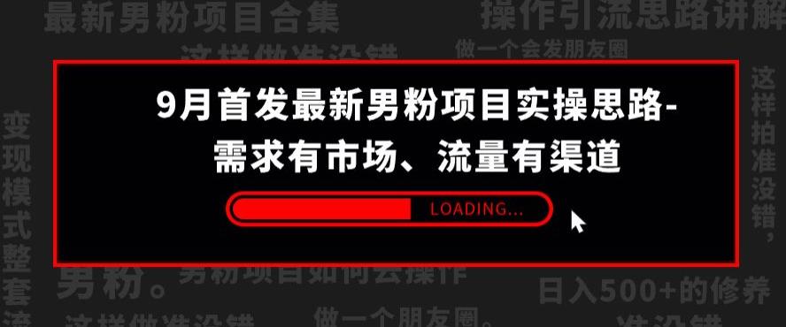 9月首发最新男粉项目实操揭秘，有市场有渠道，轻松赚钱！