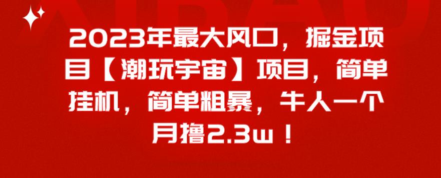 2023年掘金新风口，潮玩宇宙挂机项目，简单粗暴收益高