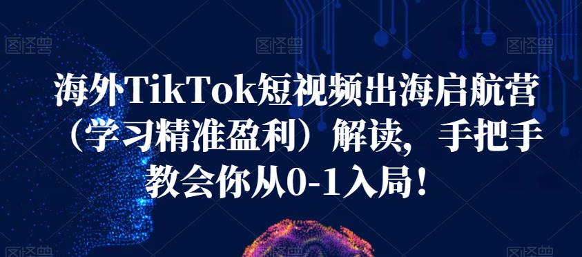 海外TikTok短视频出海启航营，从0-1入局精准盈利！