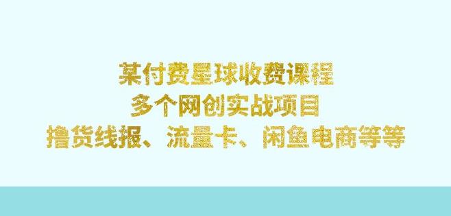 某付费星球实战：从零到一，网创项目实战与优化