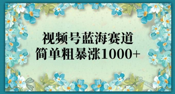 视频号蓝海赛道，简单粗暴日涨1000+，小白也能轻松操作