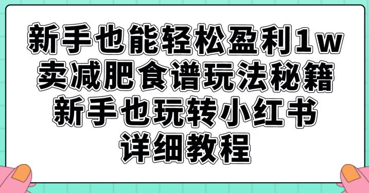 零基础新手卖减肥食谱，轻松实现盈利1万，小红书实战攻略揭秘！