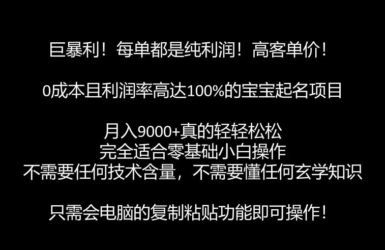 宝宝起名项目纯利润暴利，月入9000+【附软件+视频教程】