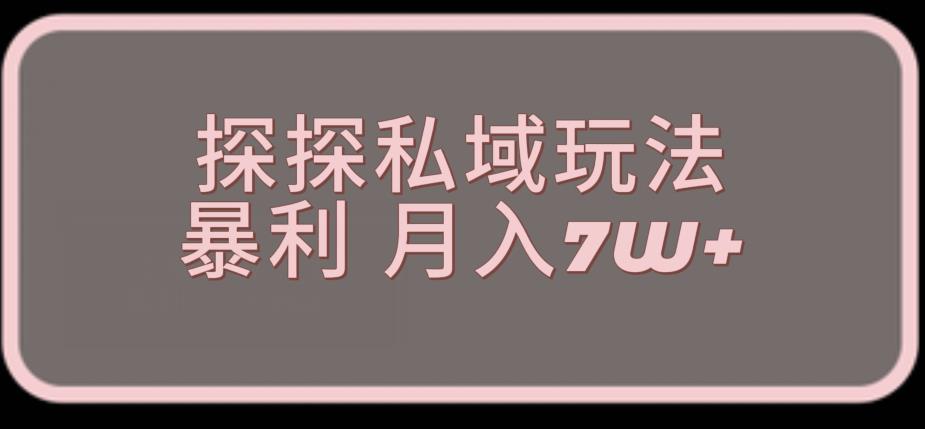 探探私域玩法揭秘，聊天赚钱，轻松实现男粉变现