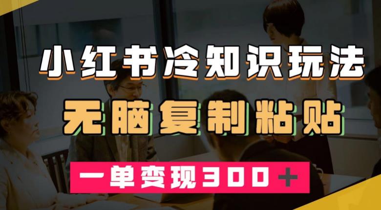 小红书冷知识玩法，轻松变现300＋！零基础小白也能赚钱！